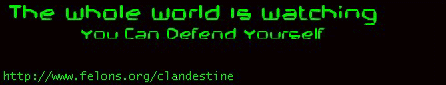 *CLANDESTINE*
