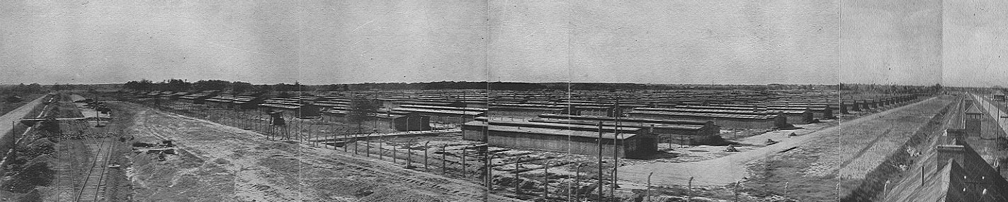 Birkenau in Summer