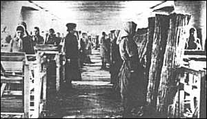 Concentration camp inmates at their work stations.