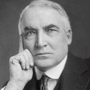 Image result for tomatobubble harding