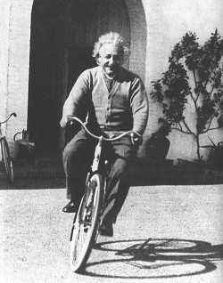 Albert Einstein's school report