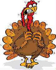 scared_turkey_2.jpg