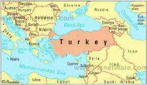 scared_turkey_2.jpg