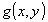 g(x,y)