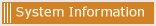 System Information