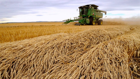 eu-approve-gm-crop.si eu-approve-gm-crop.si