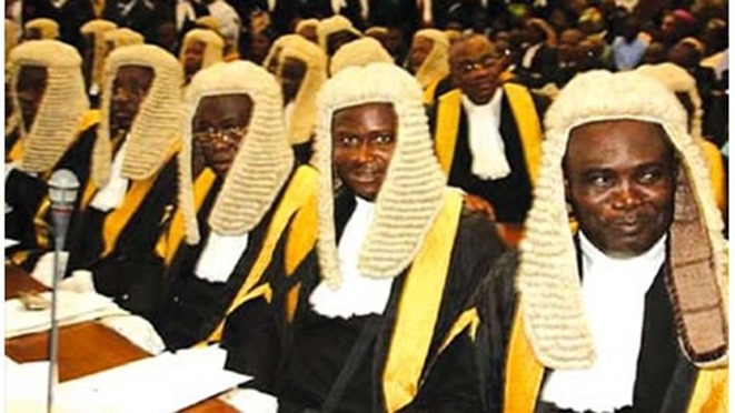 lawyers-san