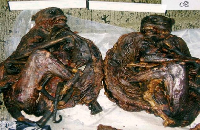 Food-Bushmeat-monkies