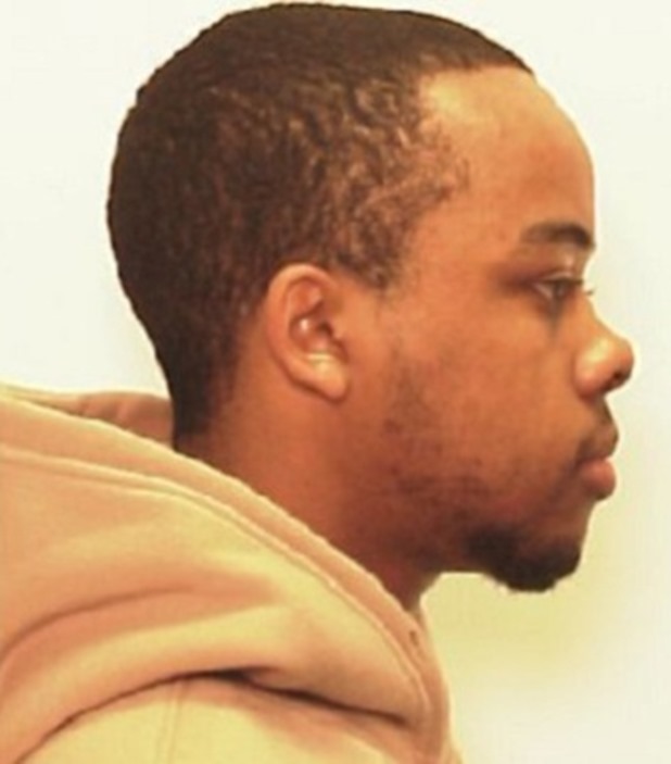 johnson (1)