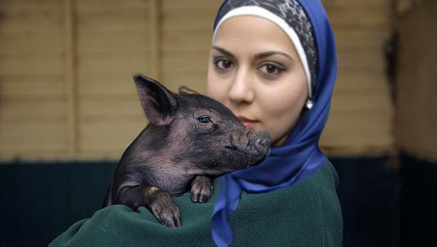 Mariam Veiszadeh