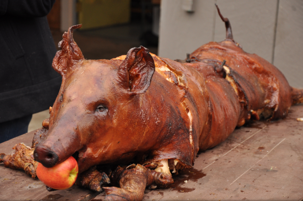 Life is too short not to eat an entire pig.
