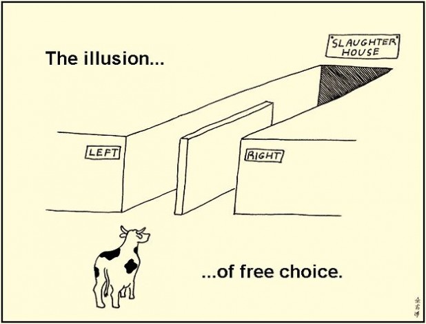 Take your pick....the false left-right dichotomy of Canadian politics
