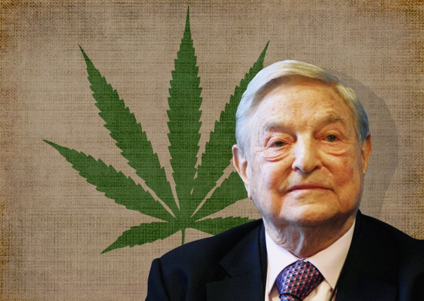 4_2_2014_pot-soros-weed8201
