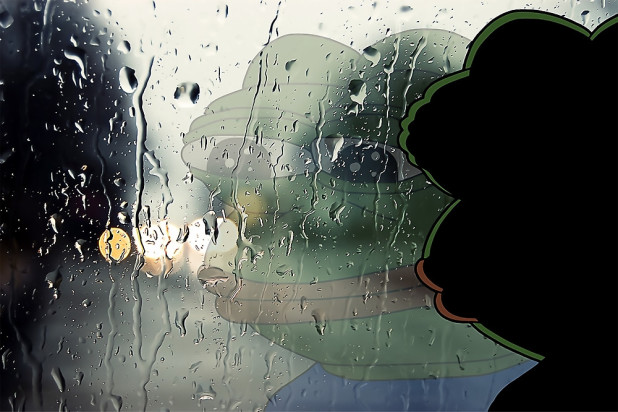 rain pepe
