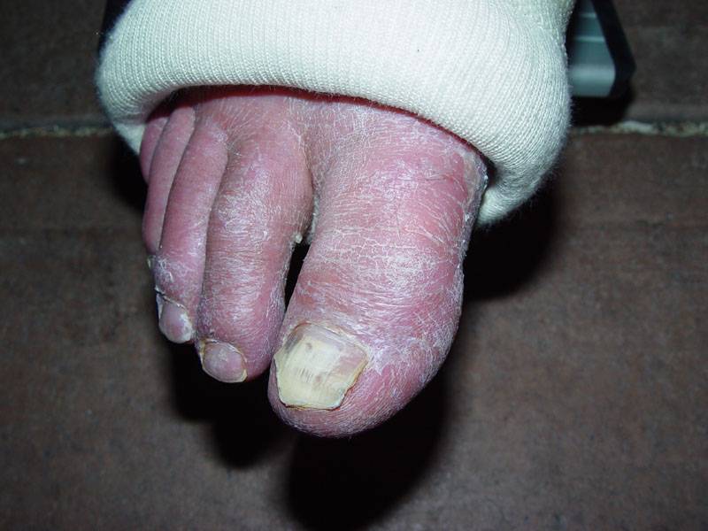 DSC00603