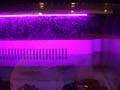 DSCN0980
