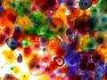 DSCN1025