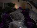 DSCN1078