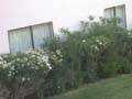 DSCN1109