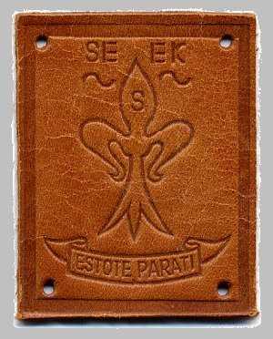 the seeker's apprentice badge