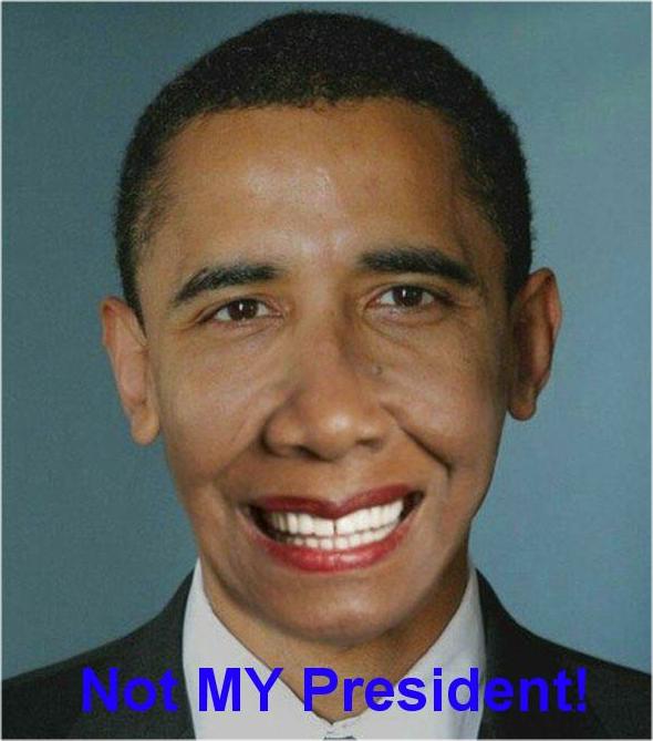 NOT My President!