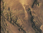 fly.jpg (15719 bytes)