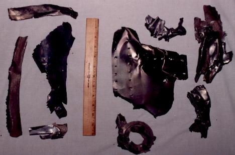 pieces of skin