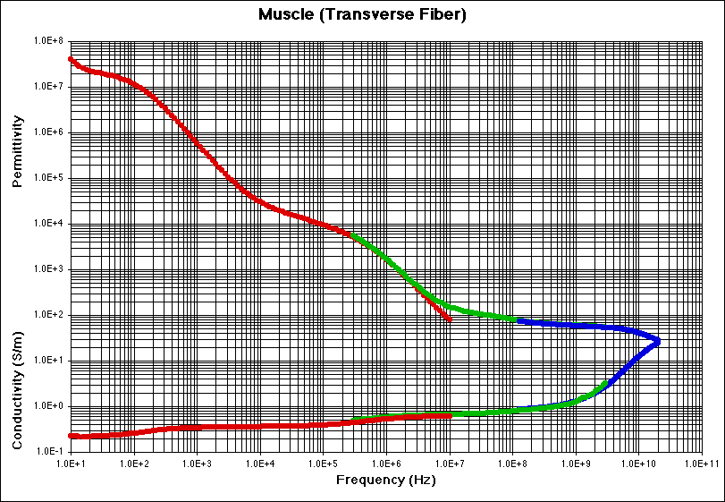 Muscle (Transverse) Experimental Data Plot