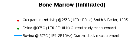 Bone Marrow Literature Legend
