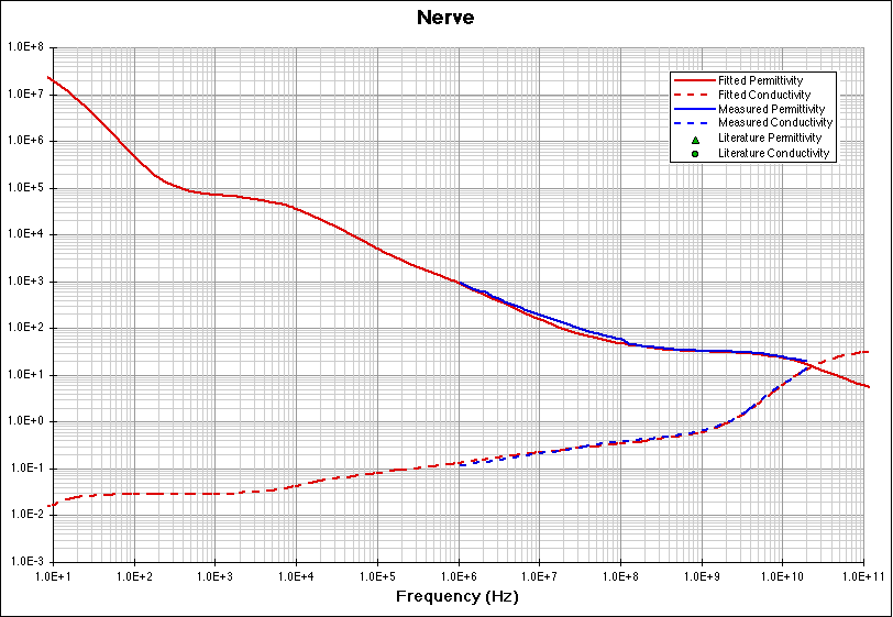 Nerve fitting model