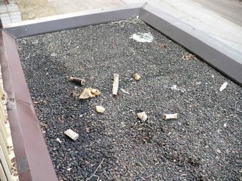 balconybones.jpg