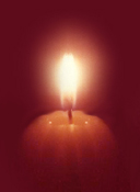 shinealight.jpg Shine a light on COINTELPRO