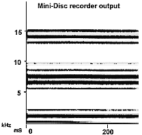 fig1b.gif (6255 bytes)