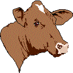 cow