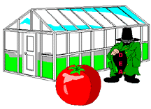 DEA agent inspecting hydroponic plants