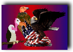 US Eagle flying with vultures.