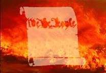 Constitution of United States being burned