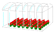 green house and hydroponics