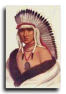 Indian Chief