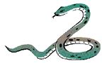 Snakes