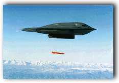Stealth Bomber