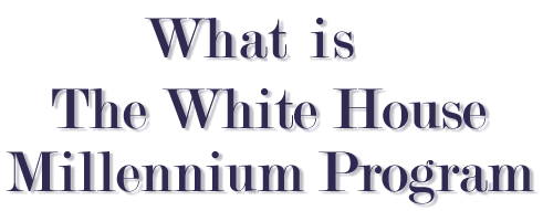 What is the White House Millennium Program?