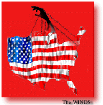 flag shaped like the US with hand coming 
out