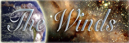 WINDS Logo