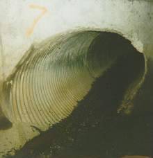 Tunnel