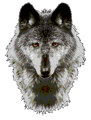 Wolf's Head Image