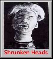 A picture tells a thousand words!